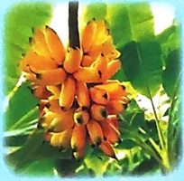 Bài 2: Con suối bản tôi