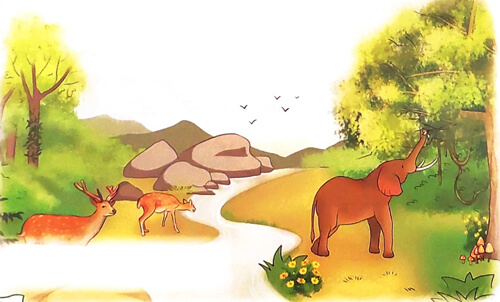 Bài 1: Chuyện bốn mùa