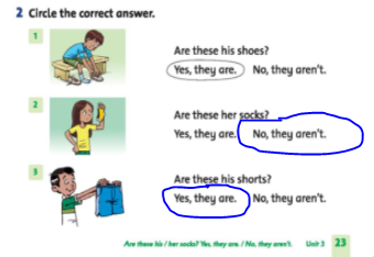 Giải Tiếng Anh lớp 2 Unit 3: Are these his pants? - Lesson 2 SBT