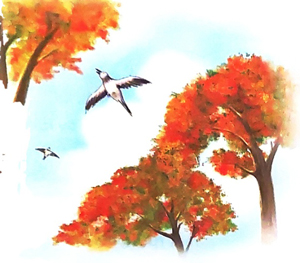 Bài 3: Dàn nhạc mùa hè