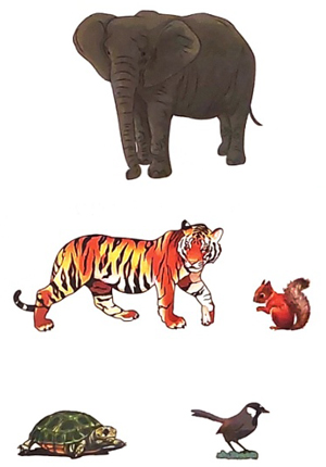 Bài 1: Chuyện của vàng anh