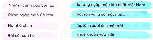 Bài 2: Sóng và cát ở Trường Sa