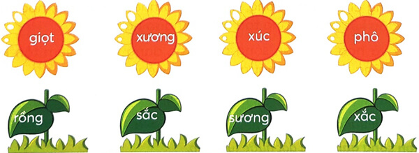 Bài 4: Cây và hoa bên lăng Bác