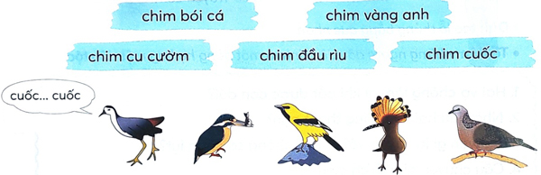 Bài 1: Chuyện quả bầu