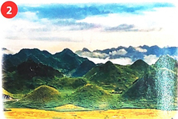 Bài 1: Cây nhút nhát 