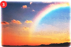 Bài 1: Cây nhút nhát 