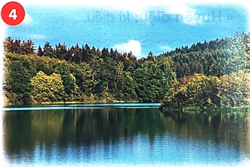 Bài 1: Cây nhút nhát 