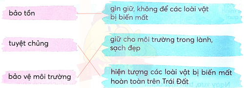 Bài 4: Hừng đông mặt biển