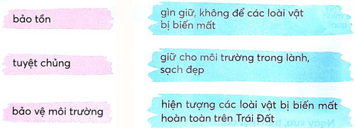 Bài 4: Hừng đông mặt biển