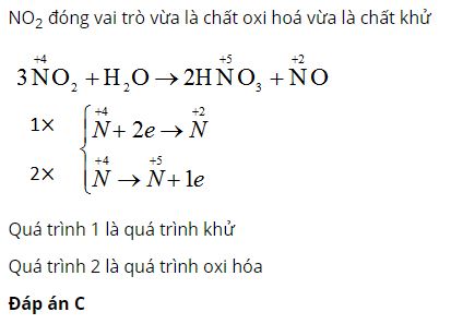 Trong phản ứng: 3NO2 + H2O → 2HNO3 + NO thì NO2 đóng vai trò gì?