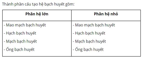 Hệ bạch huyết gồm những thành phần cấu tạo nào?
