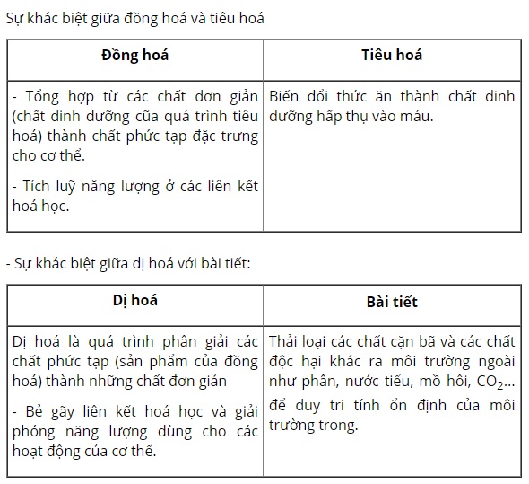 Hãy nêu sự khác biệt giữa đồng hóa và tiêu hóa, giữa dị hóa với bài tiết