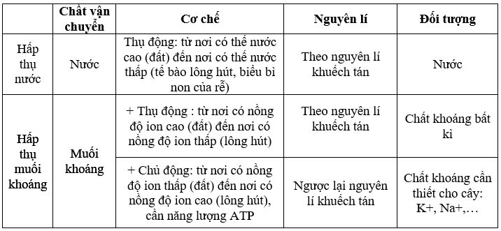 Hãy phân biệt cơ chế hấp thụ ion khoáng ở rễ cây?