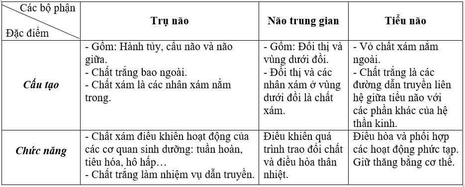 Lập bảng so sánh cấu tạo và chức năng trụ não, não trung gian và tiểu não