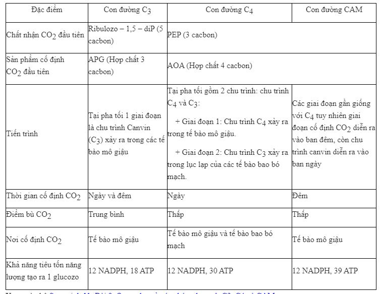 Nêu sự giống nhau và khác nhau giữa các chu trình C3, C4 và chu trình CAM