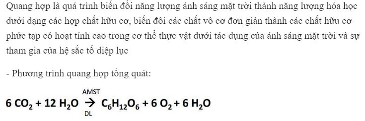 Quan sát và cho biết quang hợp là gì?
