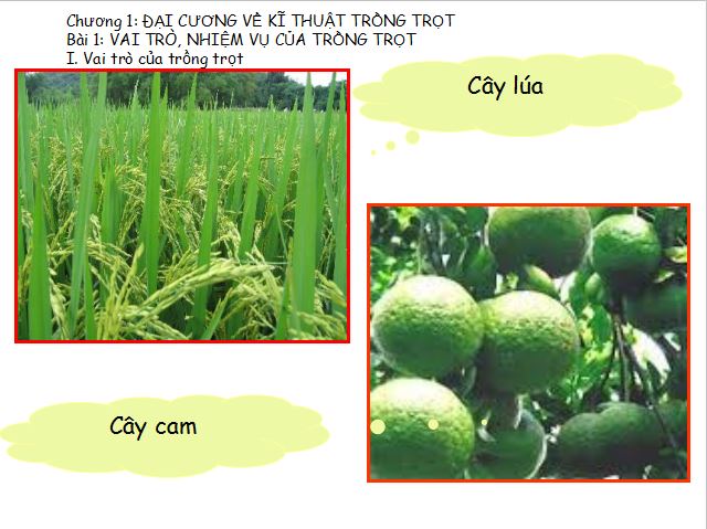 Giáo án PowerPoint lớp 7 môn Công nghệ