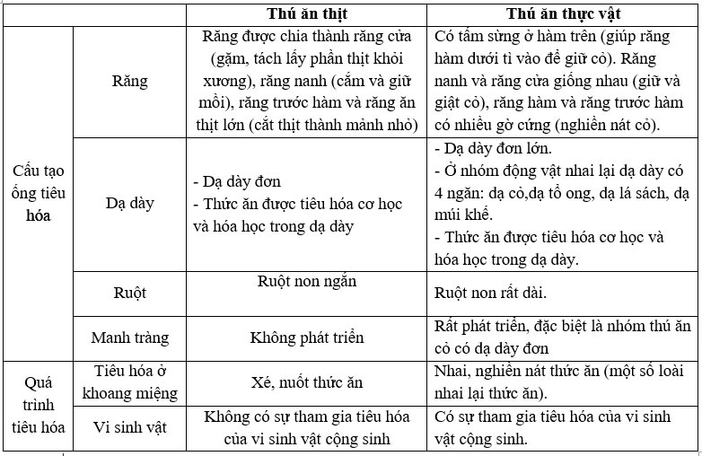 Nêu sự khác nhau về cấu tạo ống tiêu hóa và quá trình tiêu hóa thức ăn