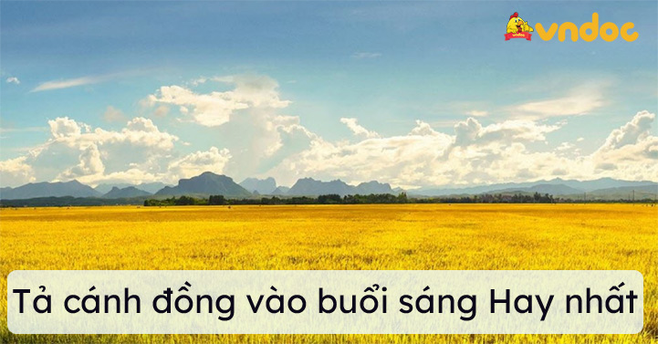 Tả cánh đồng vào buổi sáng Hay Chọn Lọc - 30 bài văn tả cảnh đạt điểm ...