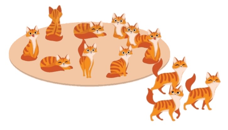 Bài 3 Toán lớp 2 trang 63