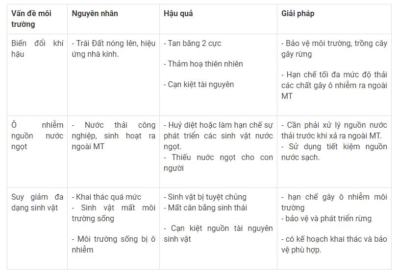 Hãy lập bảng trình bày về một số vấn đề môi trường toàn cầu