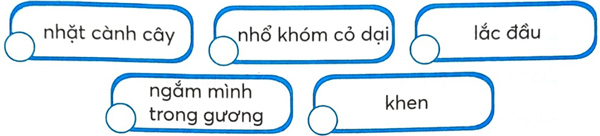 Bài 5: Em có xinh không