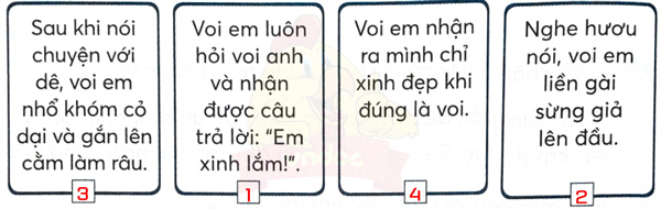 Bài 5: Em có xinh không