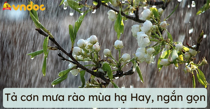 viết đoạn văn tả cơn mưa rào mùa hạ