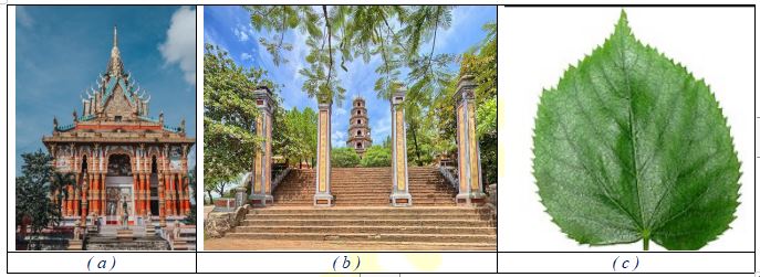 Bài tập hình có trục đối xứng