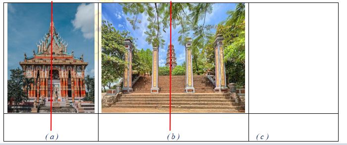 Bài tập hình có trục đối xứng