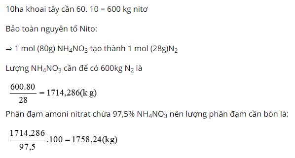 Cần bón bao nhiêu kilogam phân đạm amoni nitrat chứa 97,5% NH4NO3 cho 10,0 hecta khoai tây