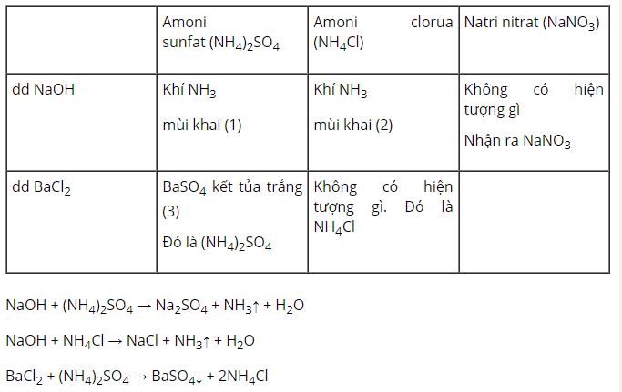 Hãy dùng các thuốc thử thích hợp để phân biệt các mẫu phân đạm
