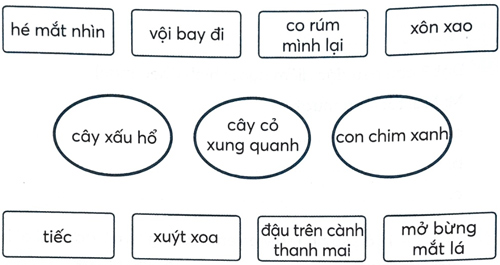 Bài 7: Cây xấu hổ
