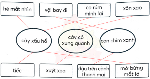 Bài 7: Cây xấu hổ