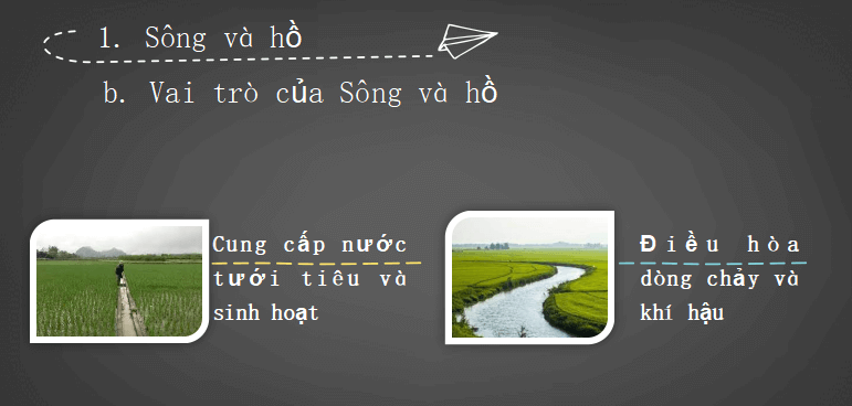 Bài giảng địa lý lớp 6