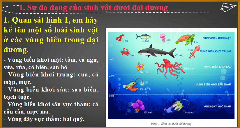 Bài giảng điện tử môn Địa lý