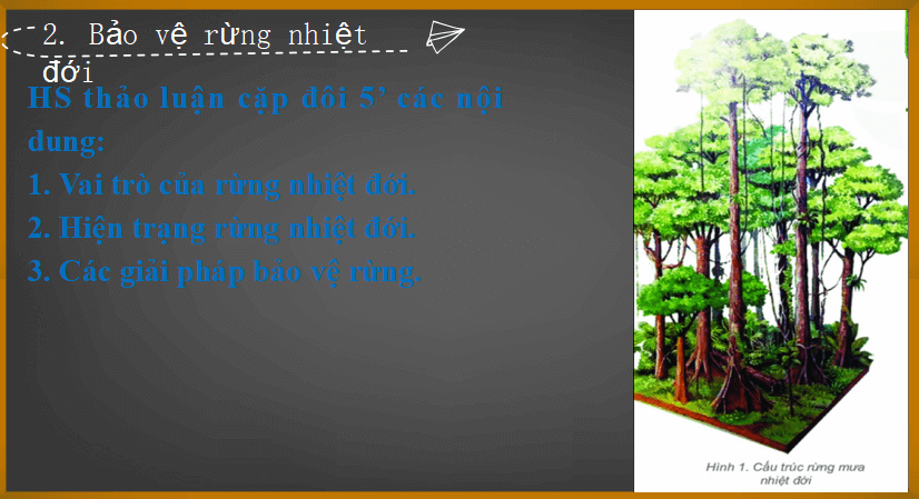 Bài giảng địa lý lớp 6