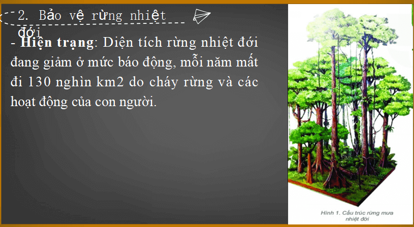 Bài giảng địa lý lớp 6