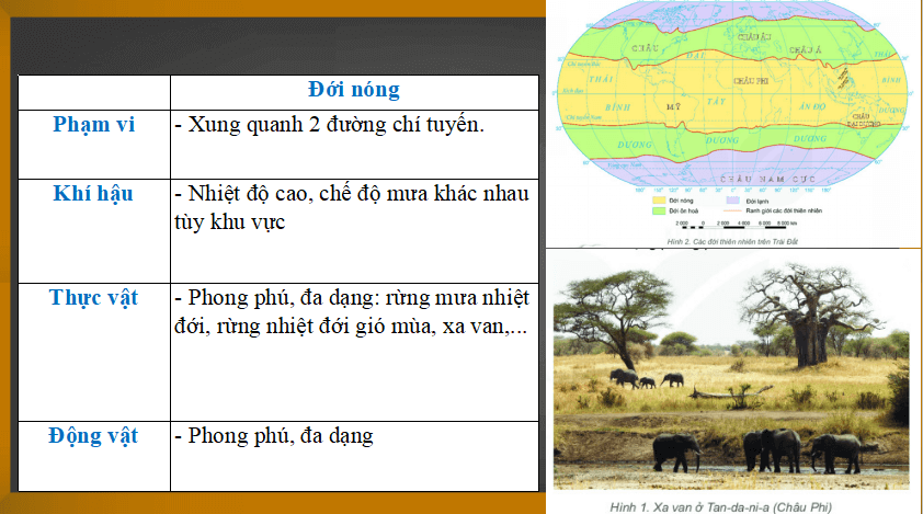 Bài giảng môn Địa lý lớp 6