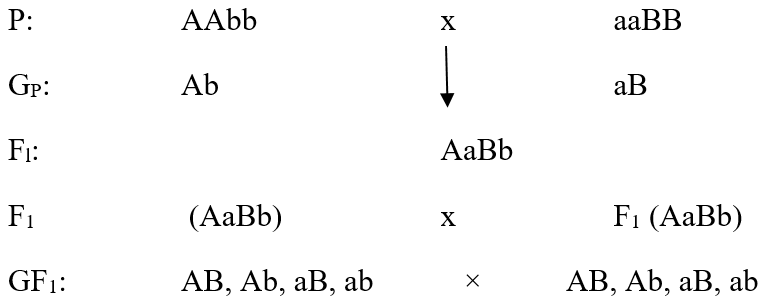 Bài 5 trang 22 sgk Sinh học 9