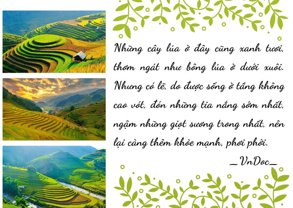  Viết đoạn văn giới thiệu tập ảnh về quê hương, đất nước hoặc nơi em đang sống 