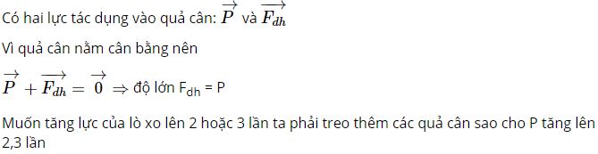 Lực của lò xo ở Hình 12.2b có độ lớn bằng bao nhiêu?