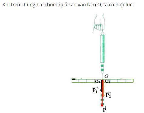 Hãy biểu diễn các vectơ lực P1, P2 và hợp lực P của chúng