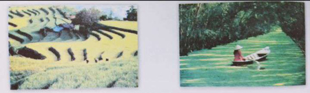 Bài 8A: Giang sơn tươi đẹp