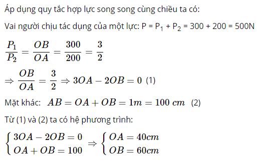 Hỏi vai người đó phải đặt ở điểm nào, chịu một lực bằng bao nhiêu?