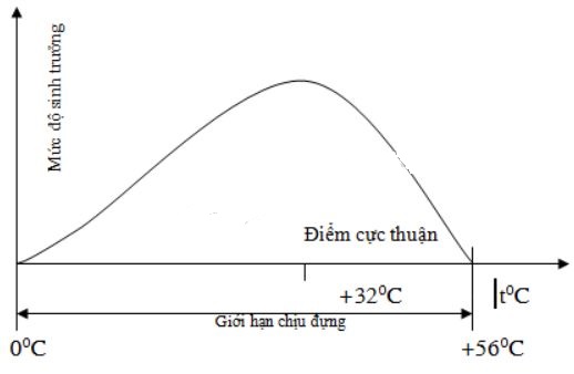 Câu 4 trang 121 sgk Sinh học 9
