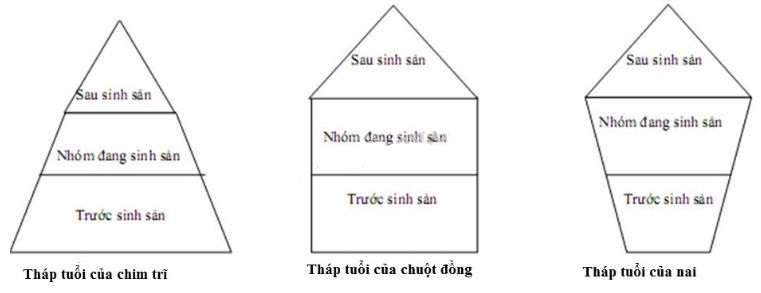 Câu 2 trang 142 SGK Sinh học 9