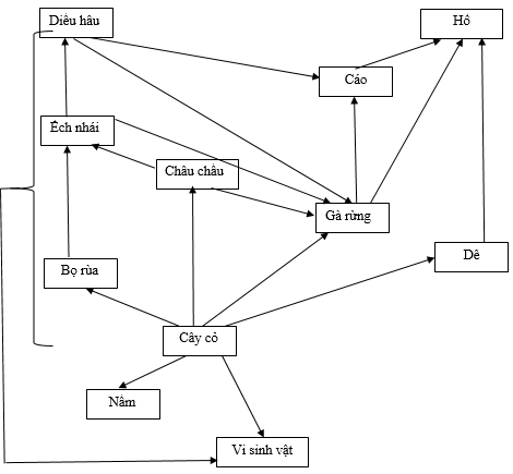 Câu 2 trang 153 SGK Sinh học 9