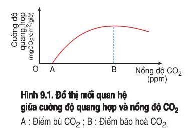 Phân tích để thấy rõ để thấy rõ mối quan hệ giữa quang hợp và nồng độ CO2