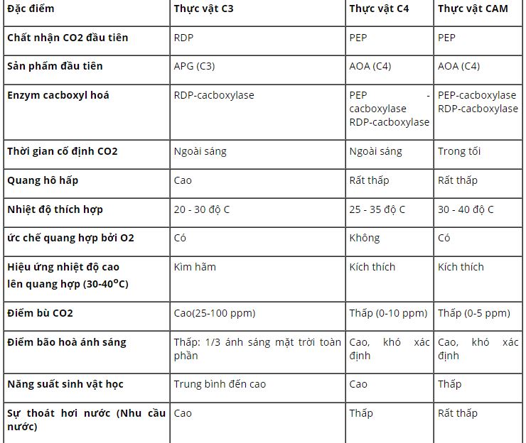 Phân tích sự giống nhau và khác nhau giữa các chu trình cố định CO2 của ba nhóm thực vật